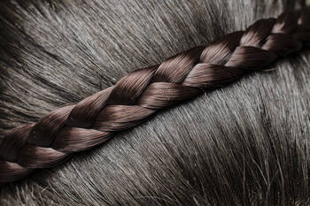 運動会におすすめの子供の髪型 女の子のヘアアレンジ集 Hair