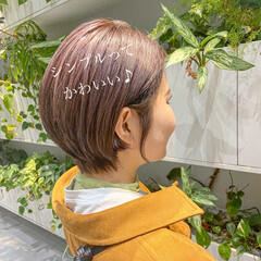 ショートボブ スッキリ ショートヘア ナチュラル Kokuri 並木 宏太 Hair