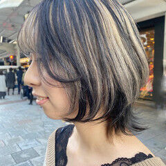 ぼくのドングリ図鑑 ひろった あつめた 盛口満 学習参考書