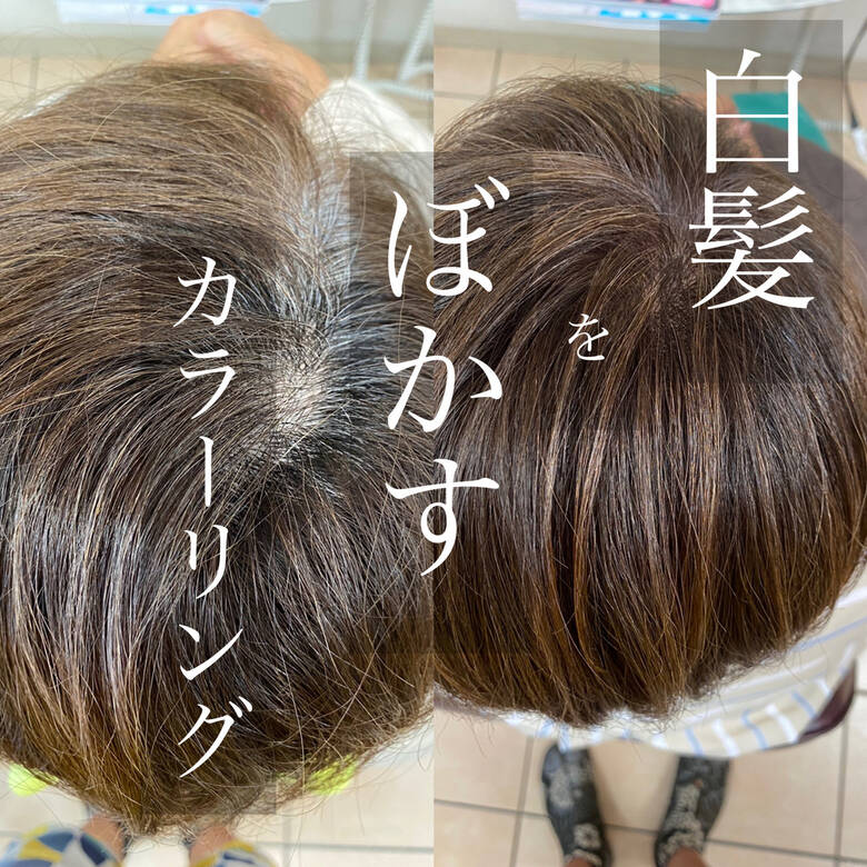髪質改善カラー 大人カラー くせ毛 白髪染め Shape Garden 亀有 朝日 康次 Hair