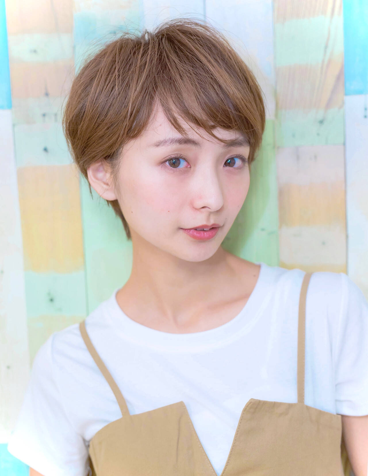 活動歴および当時の関連ビジュアル記録