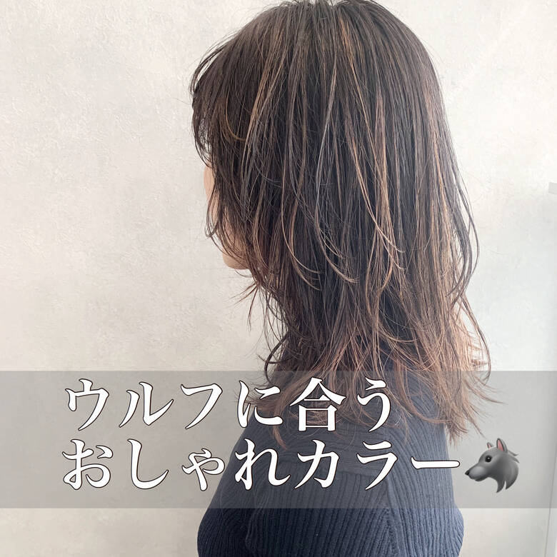 モード ミディアム ウルフカット ウルフレイヤー Cyan K Two Morinomiya Cyan K Two 西井勇太 Hair