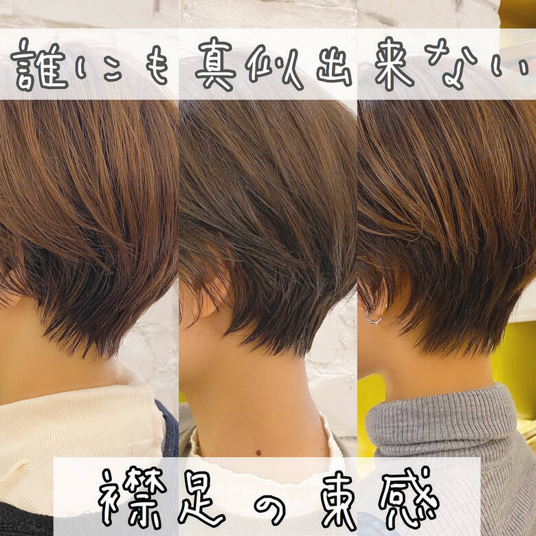 ナチュラル ショートヘア ハンサムショート ショート リュドール栄 石川有里彩 Hair