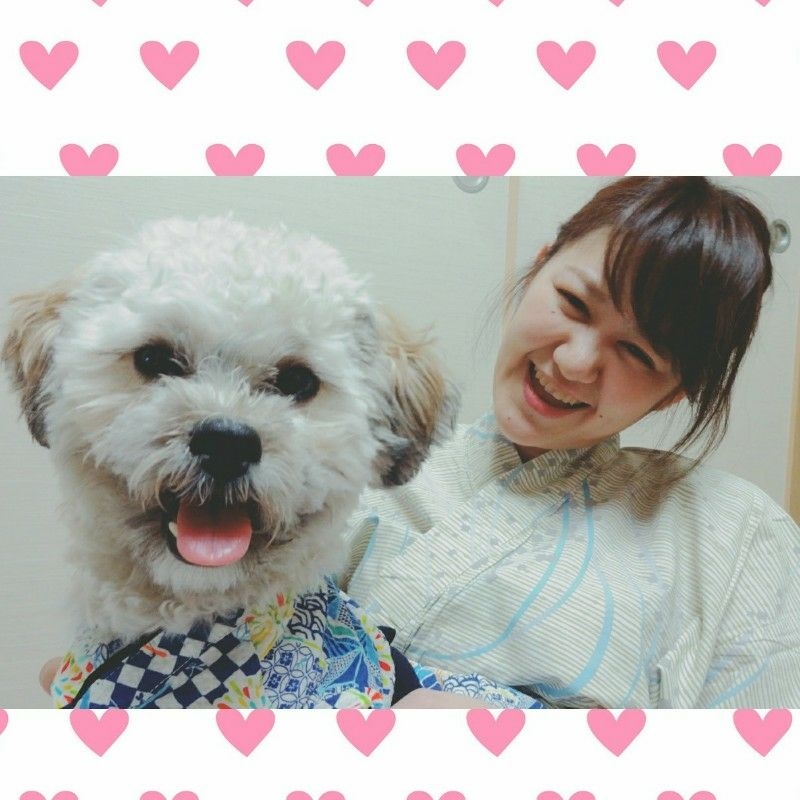 投稿者のアイコン