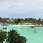 投稿者のアイコン