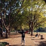 投稿者のアイコン