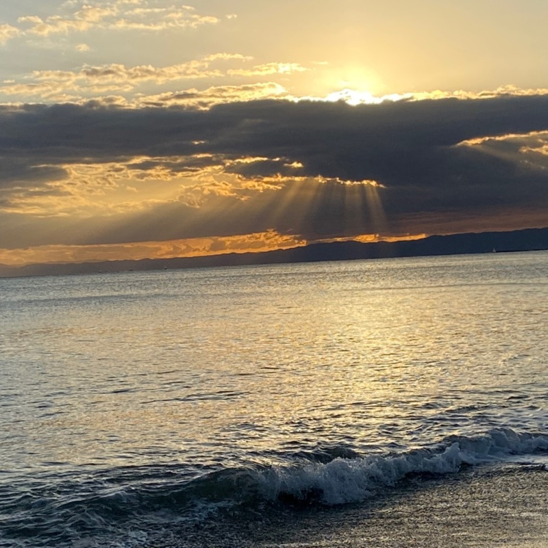 投稿者のアイコン