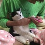 投稿者のアイコン