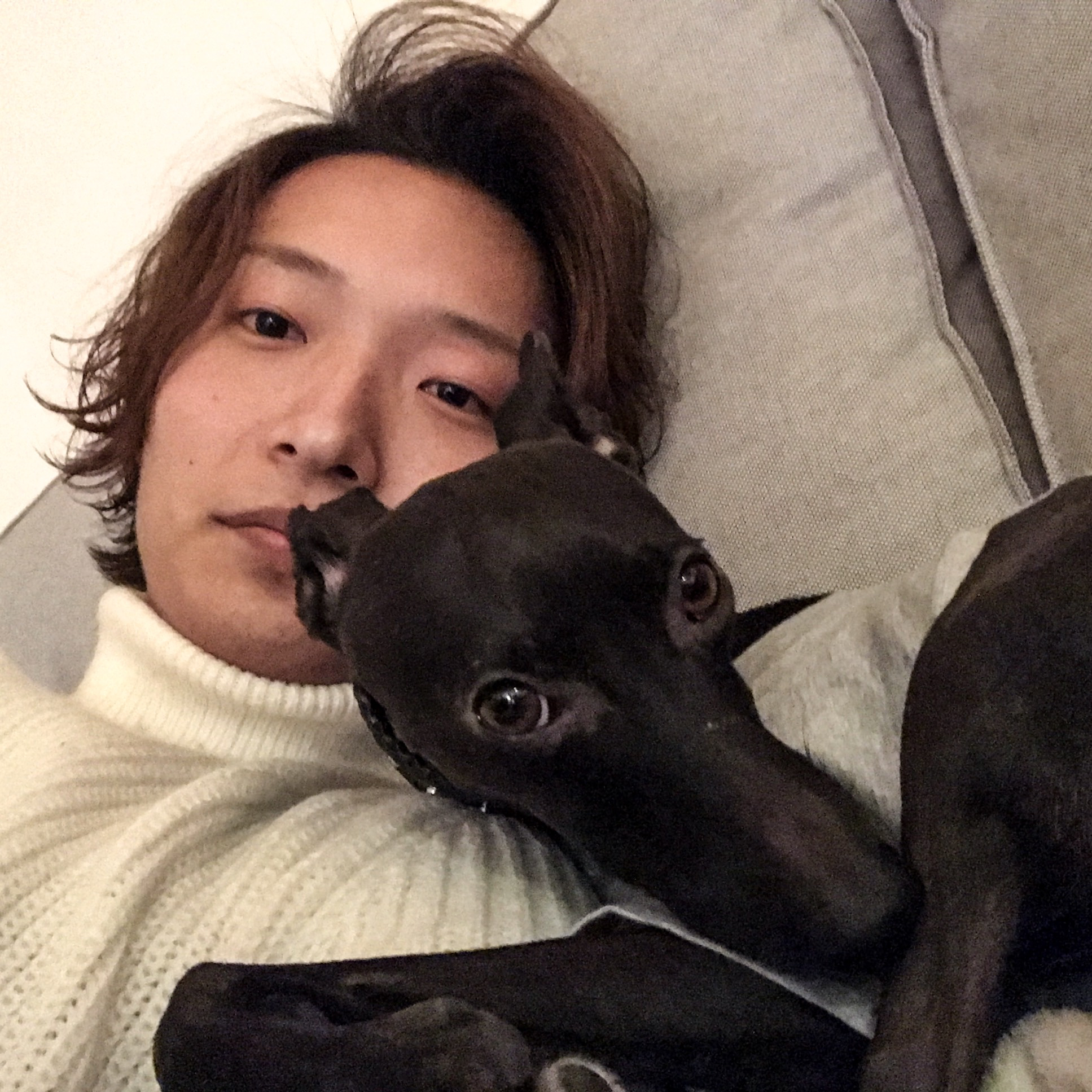 投稿者のアイコン