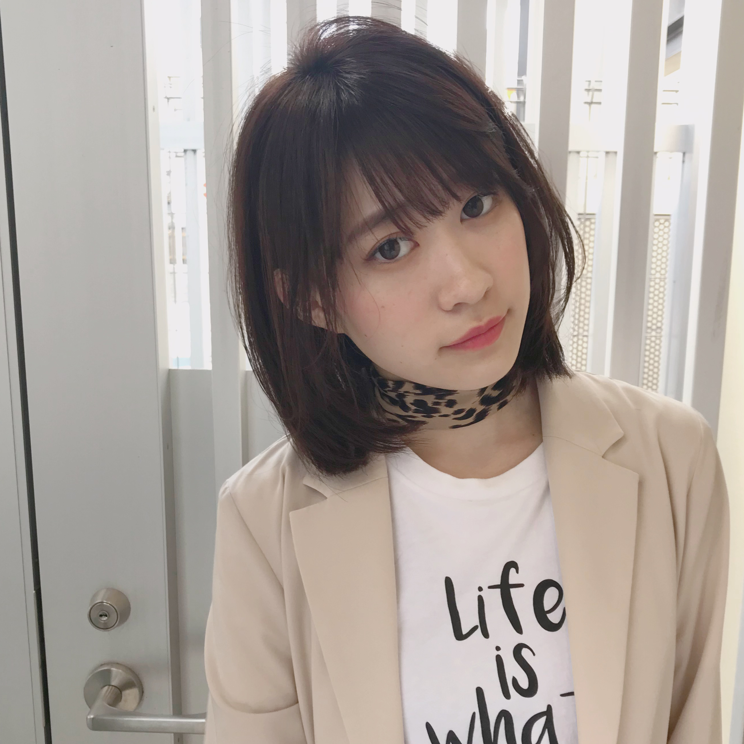 投稿者のアイコン