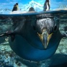 投稿者のアイコン