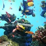 投稿者のアイコン