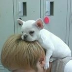 投稿者のアイコン