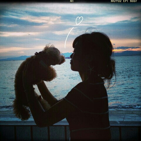 投稿者のアイコン