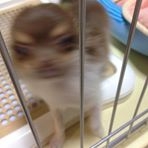 投稿者のアイコン