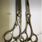 投稿者のアイコン