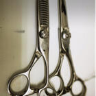 投稿者のアイコン