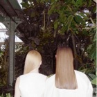 投稿者のアイコン