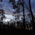 投稿者のアイコン