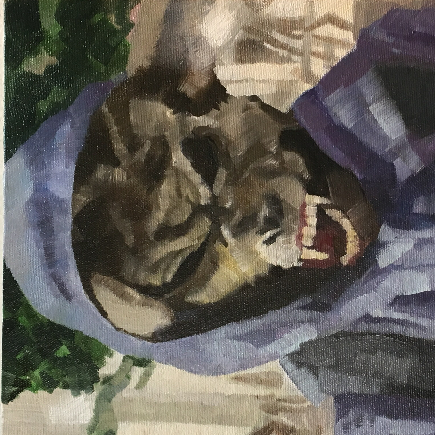 投稿者のアイコン