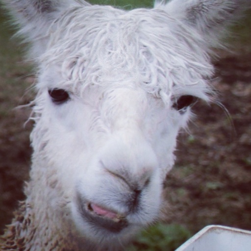 投稿者のアイコン