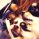 投稿者のアイコン