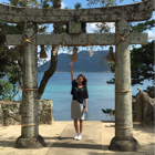 投稿者のアイコン