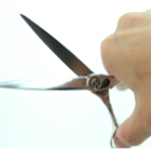 投稿者のアイコン