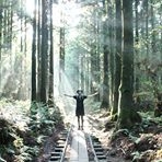 投稿者のアイコン