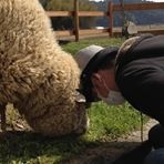 投稿者のアイコン