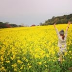 投稿者のアイコン