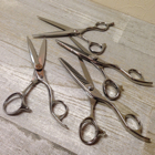 投稿者のアイコン