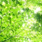 投稿者のアイコン