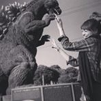 投稿者のアイコン