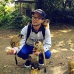 投稿者のアイコン