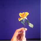 投稿者のアイコン