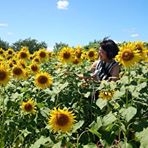 投稿者のアイコン