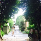 投稿者のアイコン