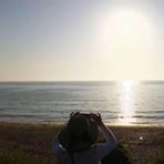 投稿者のアイコン