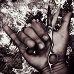 投稿者のアイコン