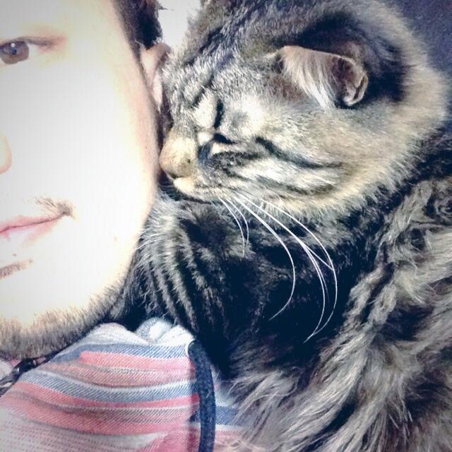 投稿者のアイコン