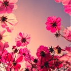 投稿者のアイコン