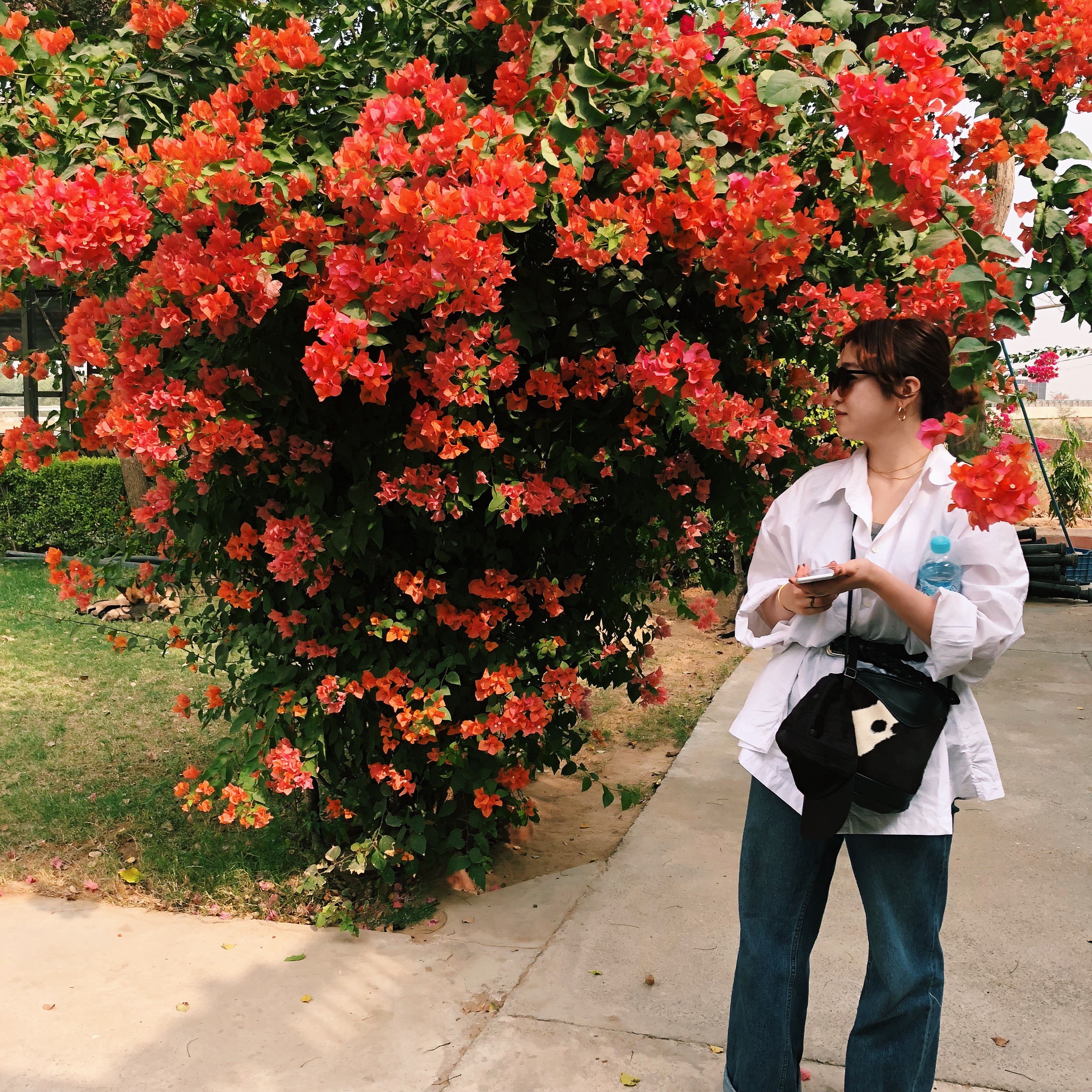 投稿者のアイコン