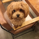 投稿者のアイコン