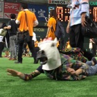 投稿者のアイコン