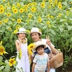 投稿者のアイコン