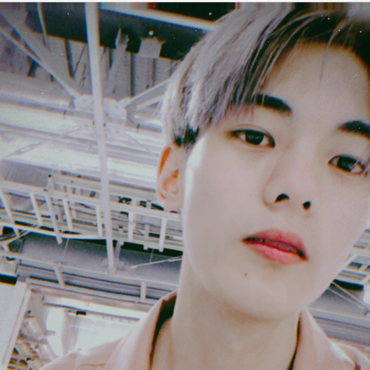 投稿者のアイコン