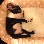 投稿者のアイコン