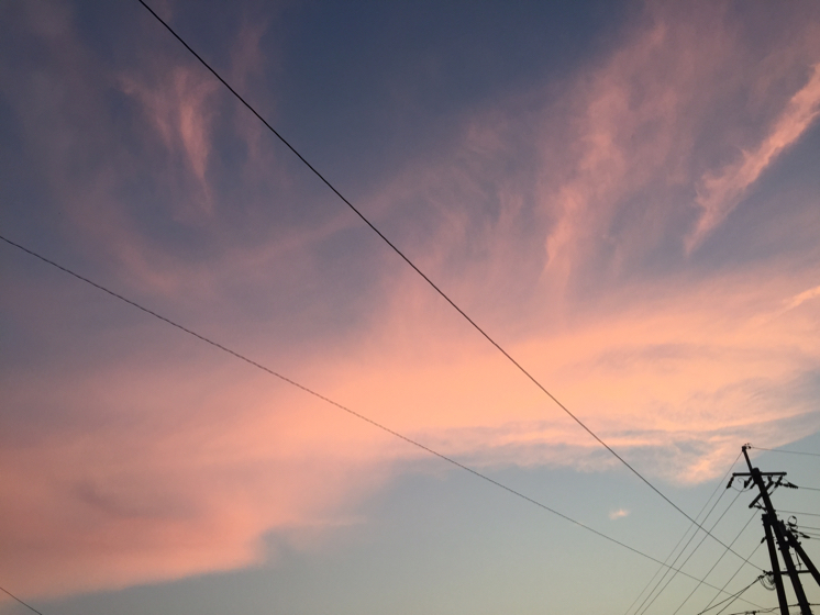 投稿者のアイコン