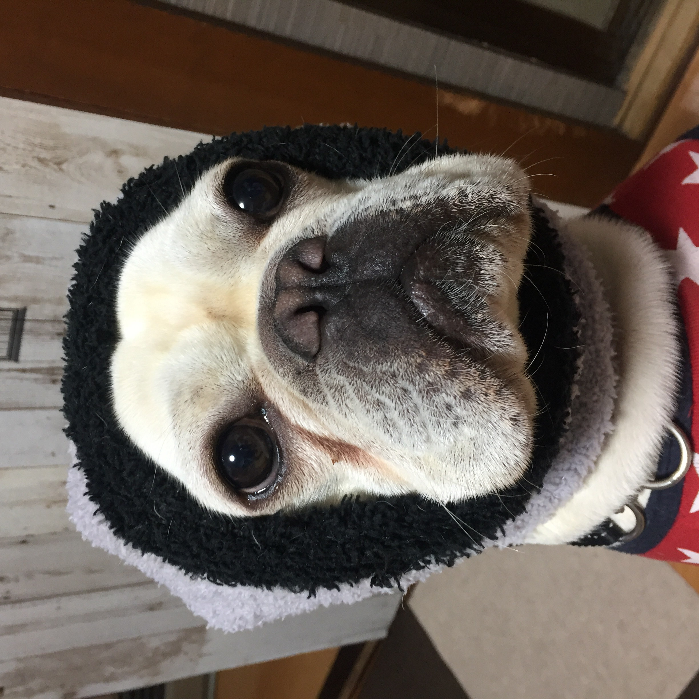 投稿者のアイコン